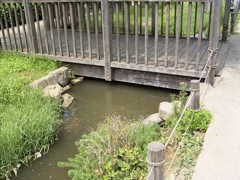 RIMG0006.JPG
