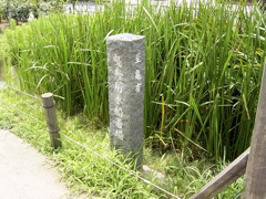 RIMG0007.JPG