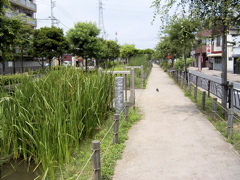 RIMG0008.JPG