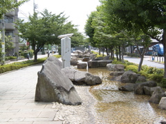 RIMG0010.JPG
