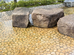 RIMG0011.JPG