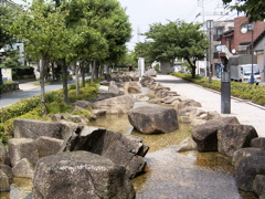 RIMG0012.JPG