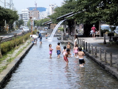 RIMG0103.JPG