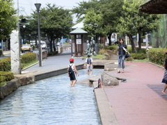 RIMG0021.JPG