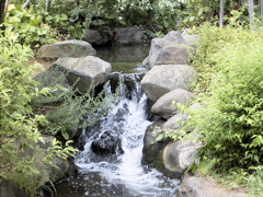 RIMG0026.JPG