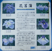 RIMG0034.JPG