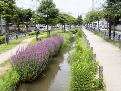 RIMG0003.JPG