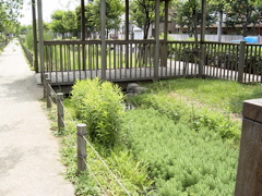 RIMG0005.JPG