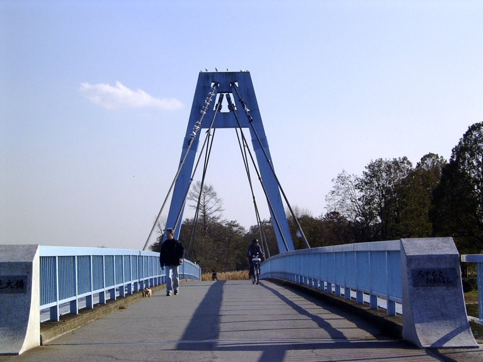 bridge2.jpg