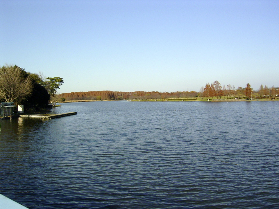 pond1.jpg