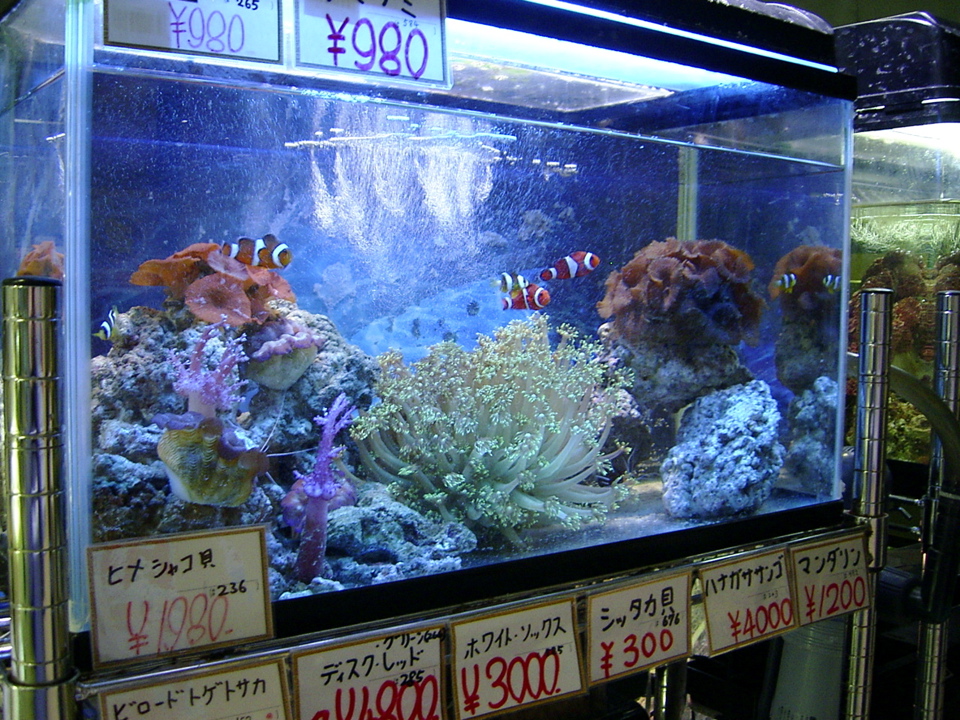 aquarium2.jpg
