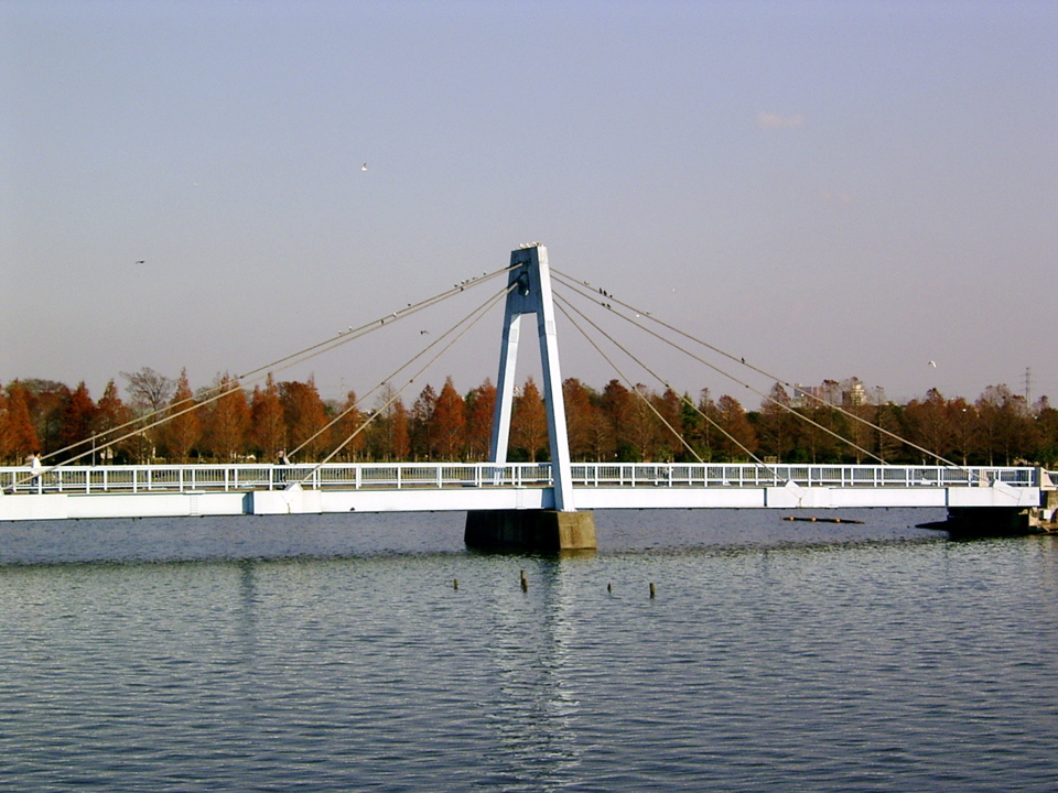 bridge1.jpg