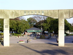 mizumoto.jpg