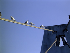 bridge3.jpg