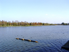 pond2.jpg