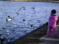 pond3.jpg