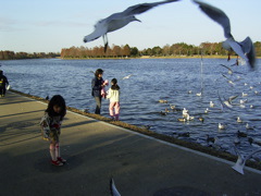 pond5.jpg