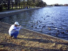 pond6.jpg