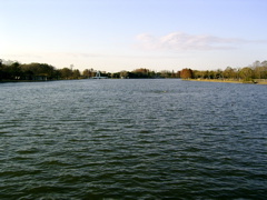 pond7.jpg