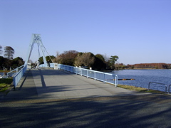 bridge4.jpg