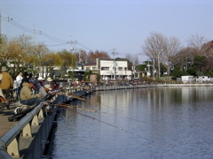 fishing.jpg